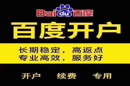 SEM代理助力品牌：案例解析与优化策略